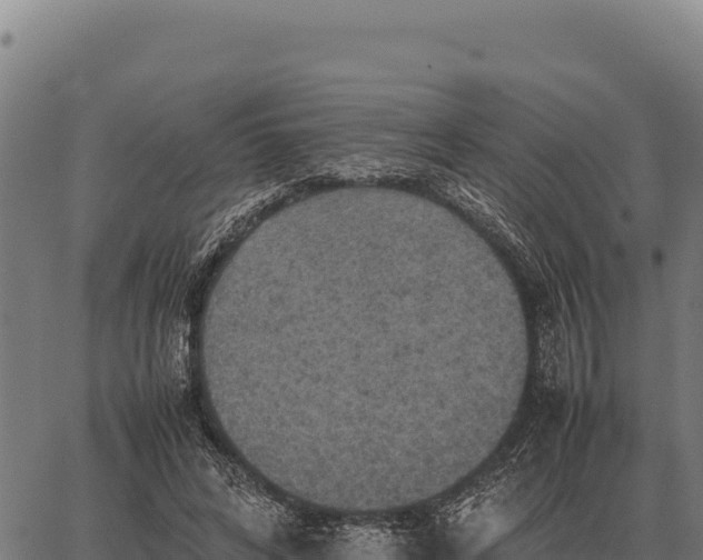 X0000066520592200603311756