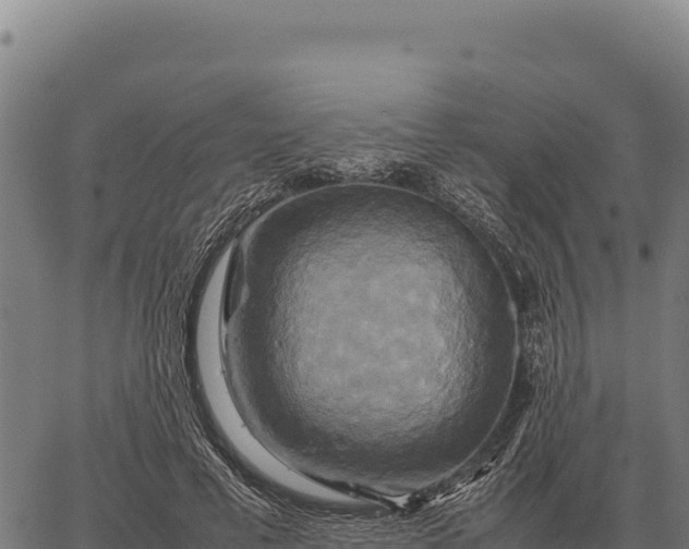 X0000066520593200603311756