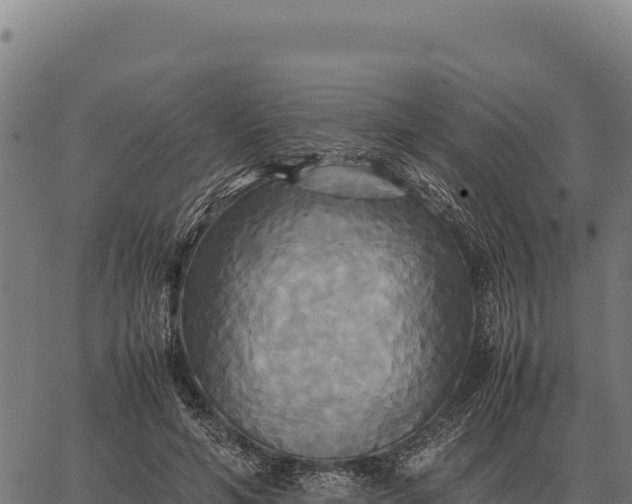 X0000066520594200603311756