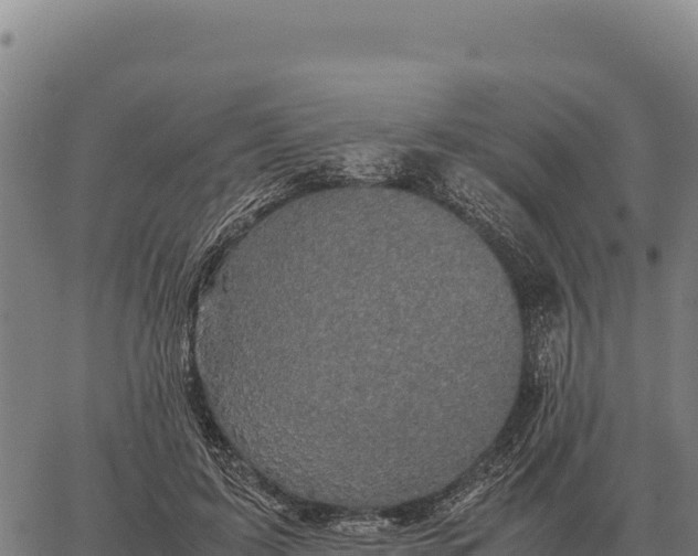 X0000066520595200603311756