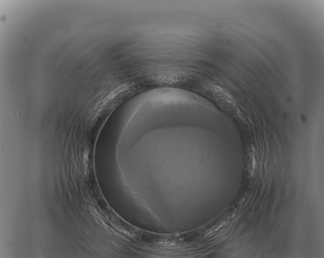 X0000066520596200603311756