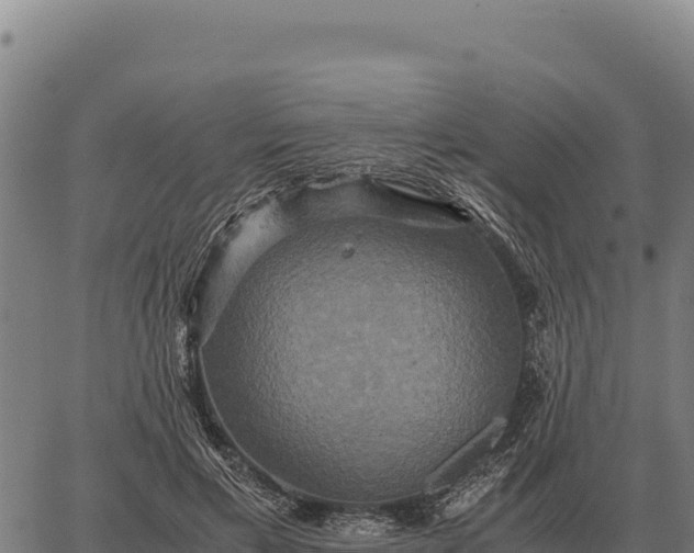 X0000066520597200603311756