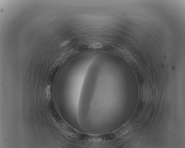 X0000066520598200603311756