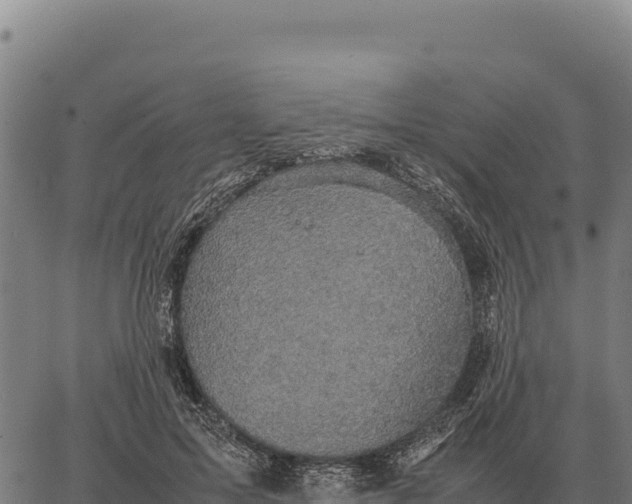 X0000066520599200603311756