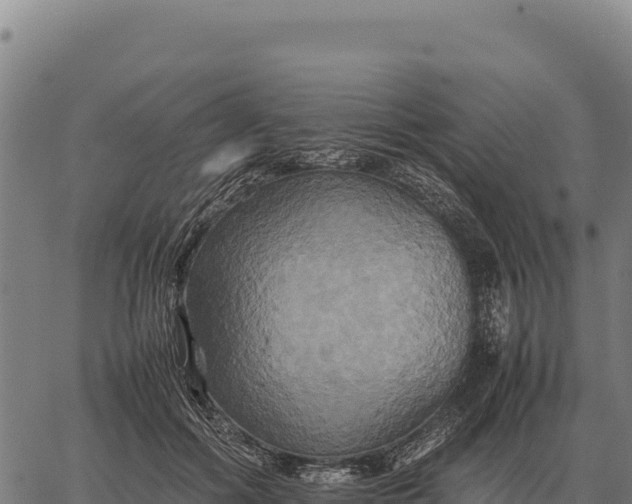 X0000066520602200603311756