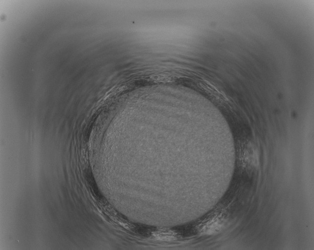 X0000066520603200603311756