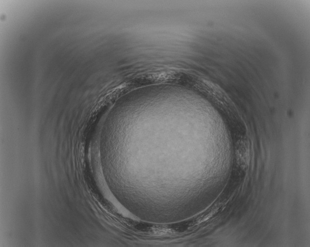 X0000066520605200603311756