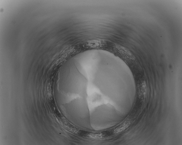 X0000066520606200603311756