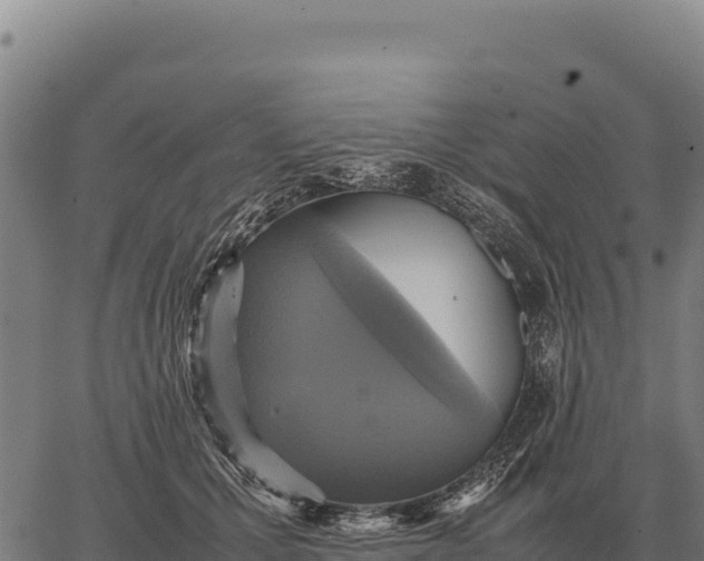 X0000066520607200603311756