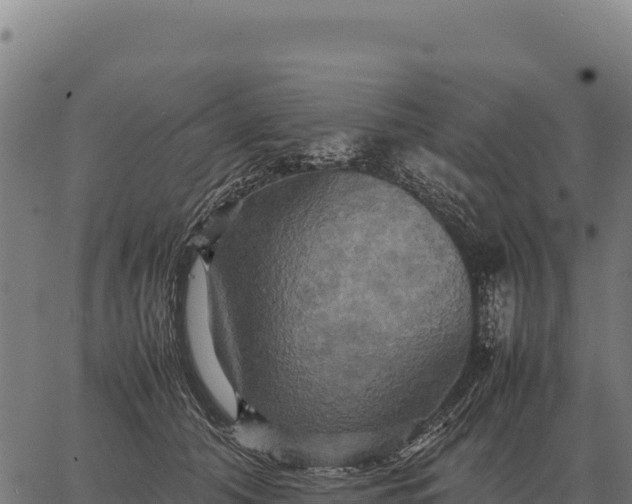 X0000066520608200603311756