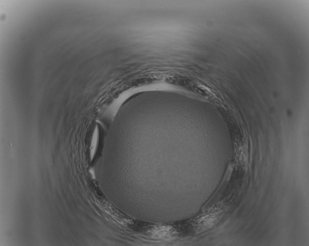 X0000066520609200603311756