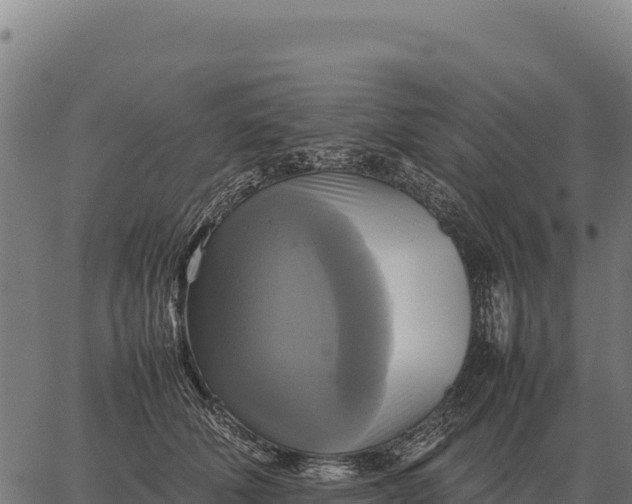 X0000066520610200603311756