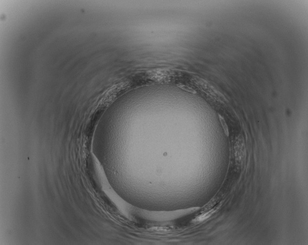 X0000066520611200603311756