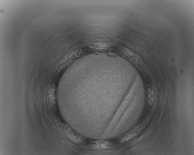 X0000066520612200603311756