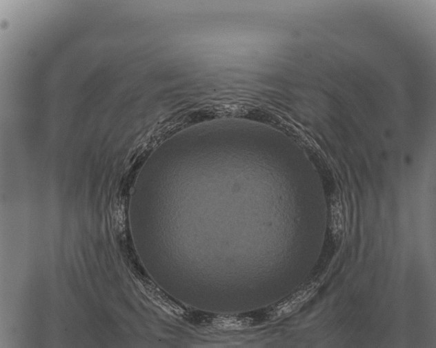 X0000066520613200603311756