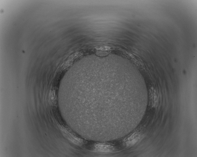 X0000066520614200603311756