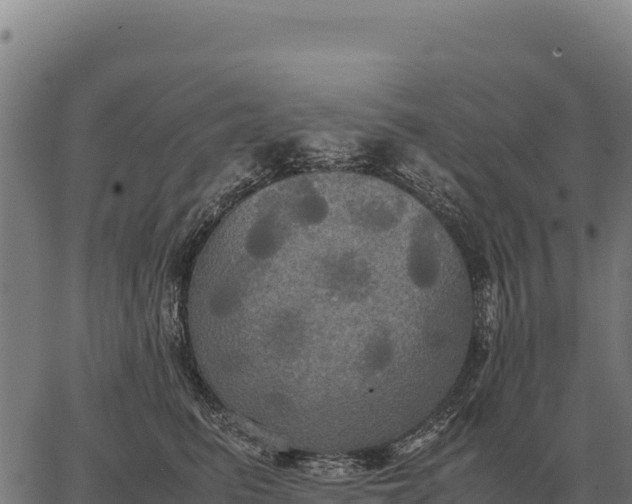 X0000066520615200603311756