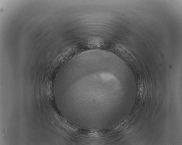 X0000066520616200603311756