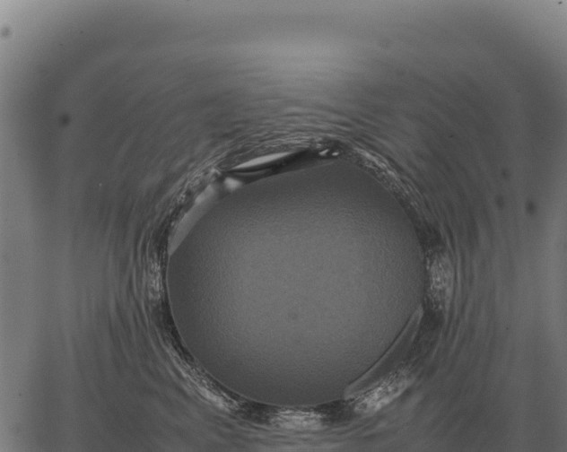 X0000066520617200603311756