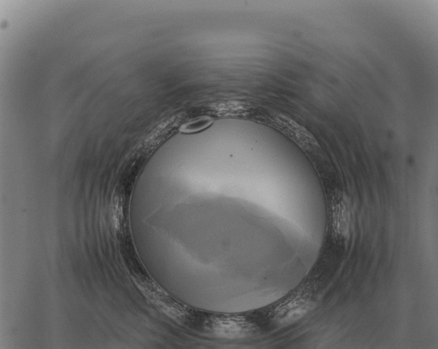 X0000066520618200603311756