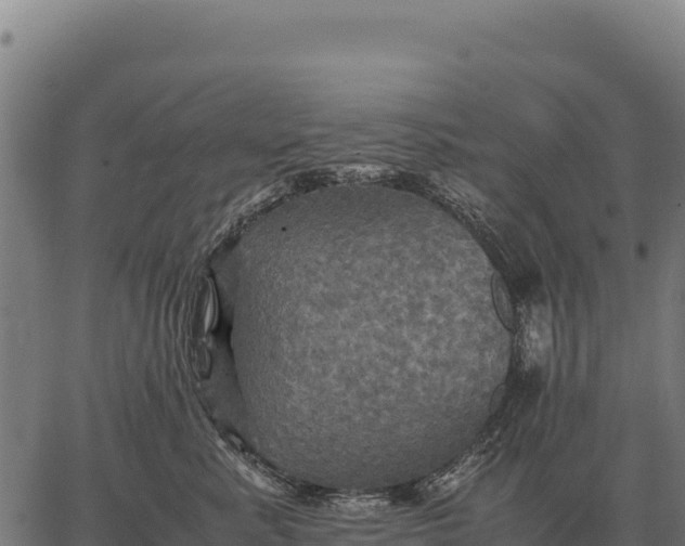 X0000066520619200603311756