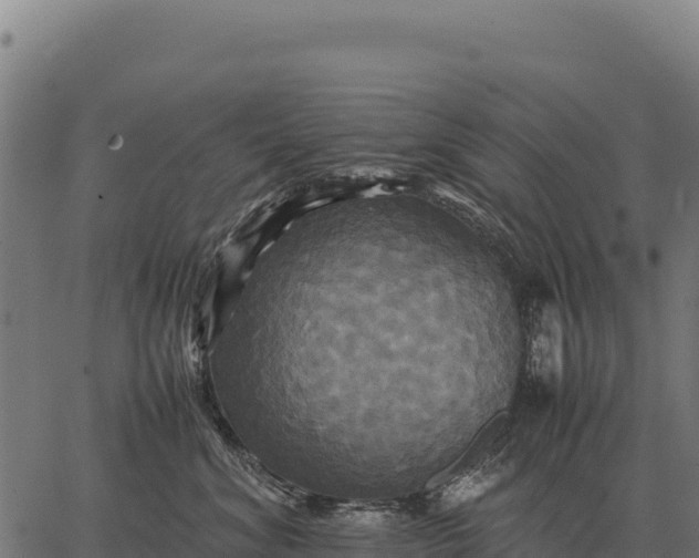 X0000066520620200603311756