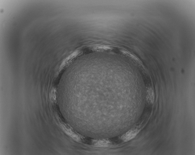 X0000066520621200603311756