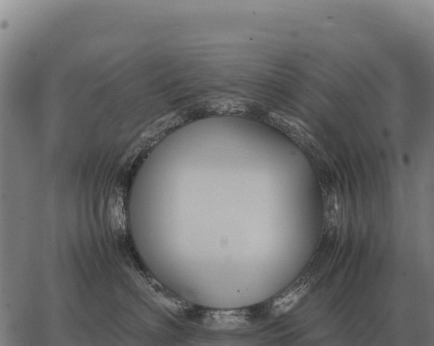 X0000066520622200603311756