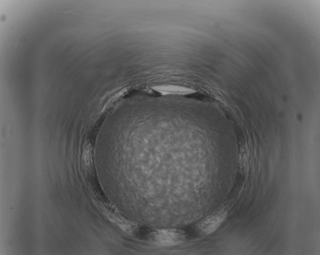 X0000066520623200603311756