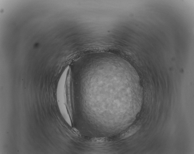 X0000066520624200603311756