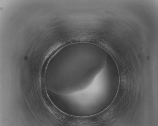 X0000066520626200603311755