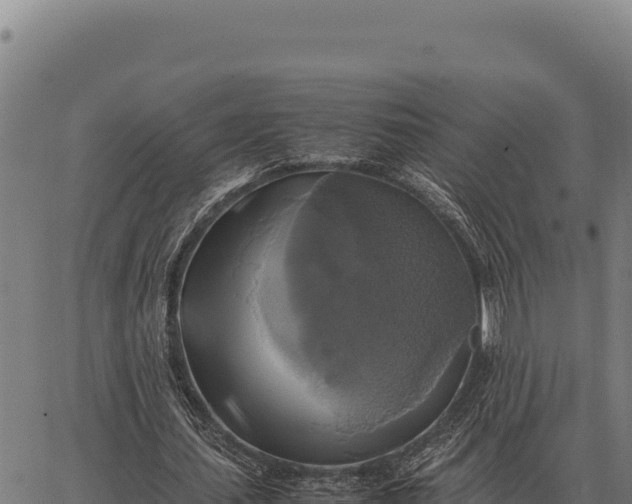 X0000066520627200603311755