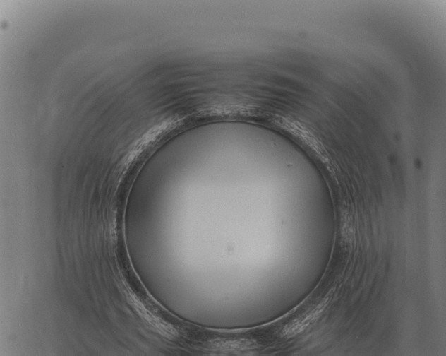 X0000066520629200603311755