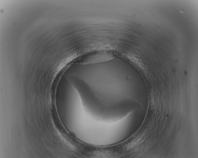 X0000066520630200603311755