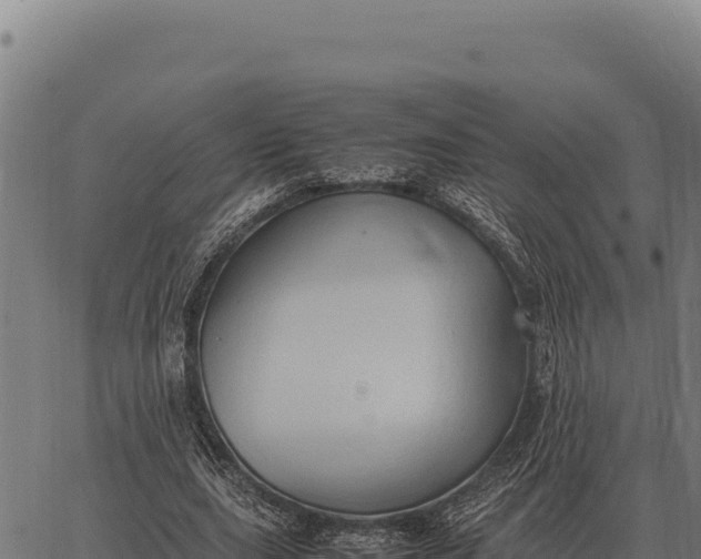 X0000066520631200603311755