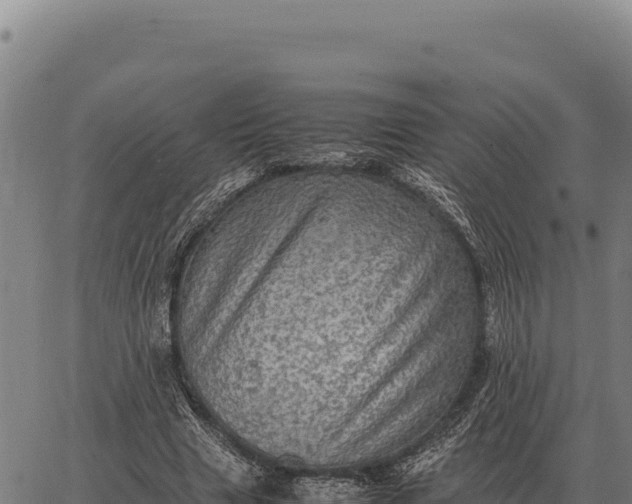 X0000066520633200603311755