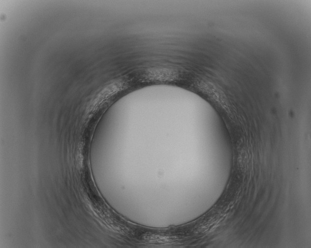 X0000066520635200603311755