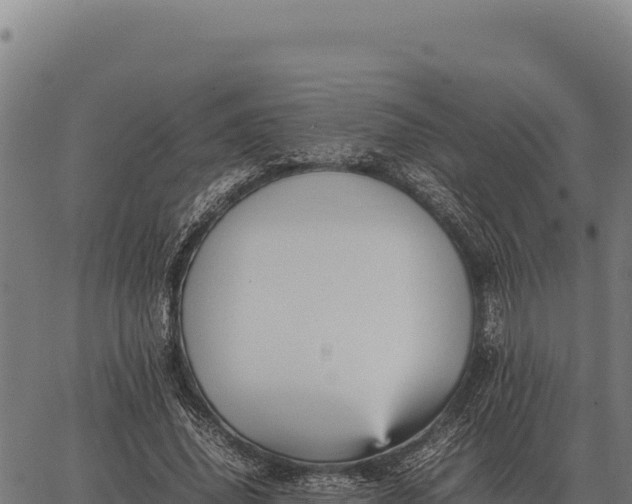 X0000066520636200603311755