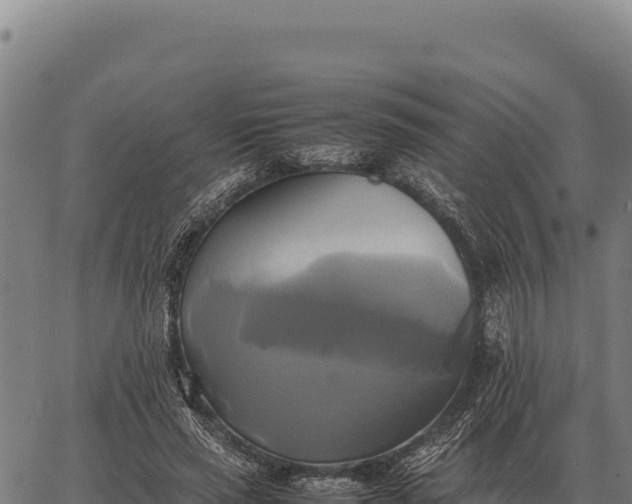 X0000066520637200603311755