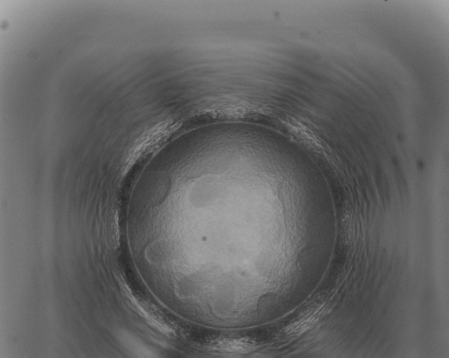 X0000066520638200603311755