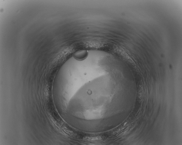 X0000066520639200603311755