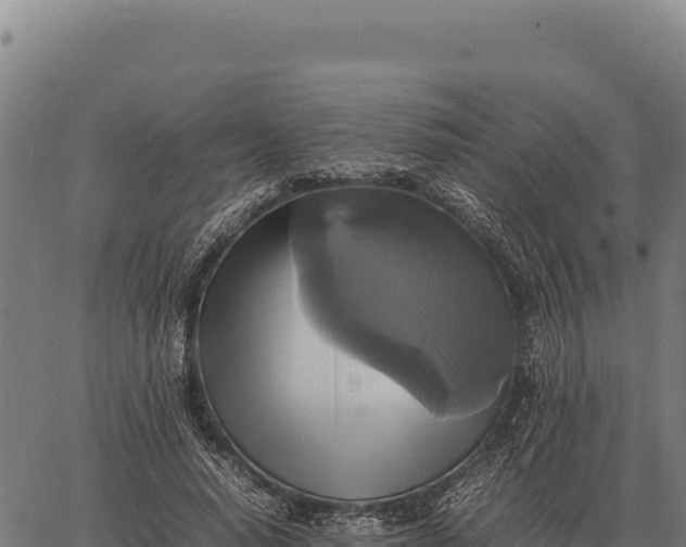 X0000066520640200603311755