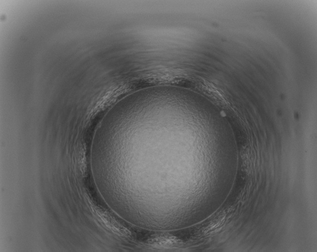 X0000066520642200603311755