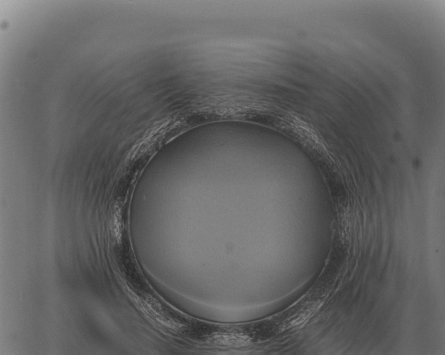 X0000066520644200603311755