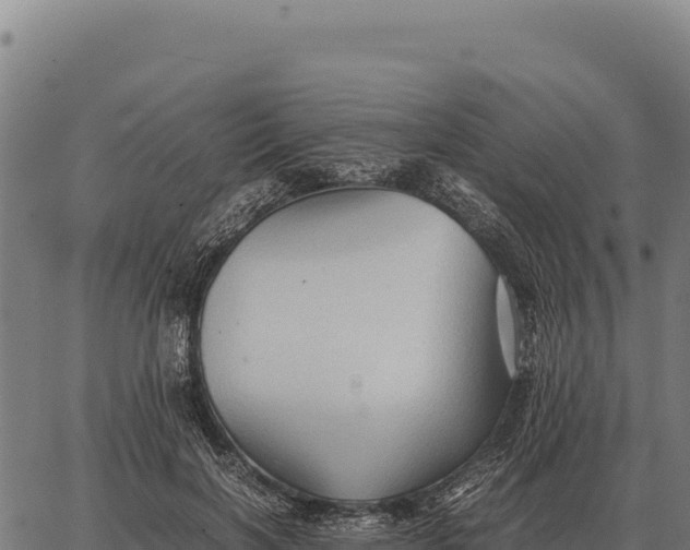 X0000066520646200603311755