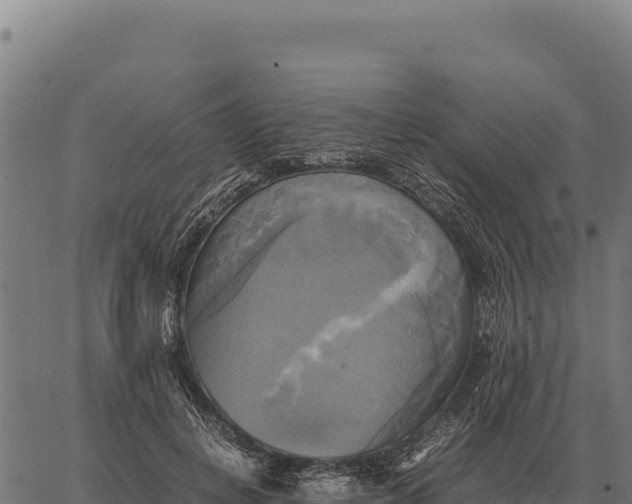 X0000066520648200603311755