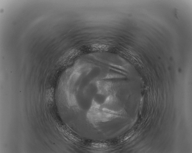 X0000066520649200603311755