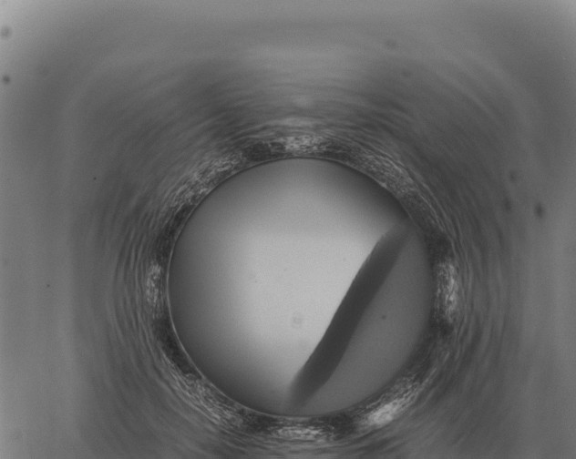 X0000066520650200603311755