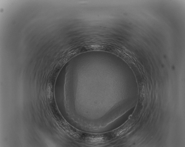 X0000066520651200603311755