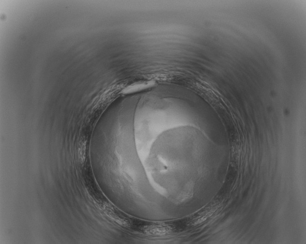 X0000066520652200603311755